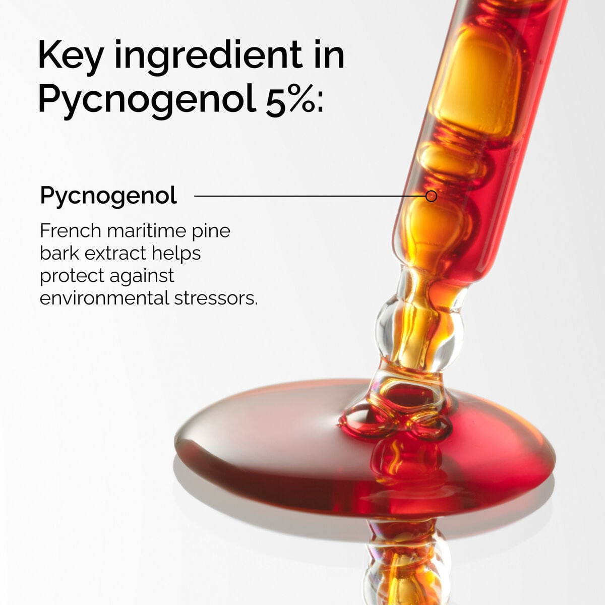 pycnogenol-5-s2 FY25-D41247-ORD-Web-PDP-Pyc-5pct-1x1-EN-2a.jpg